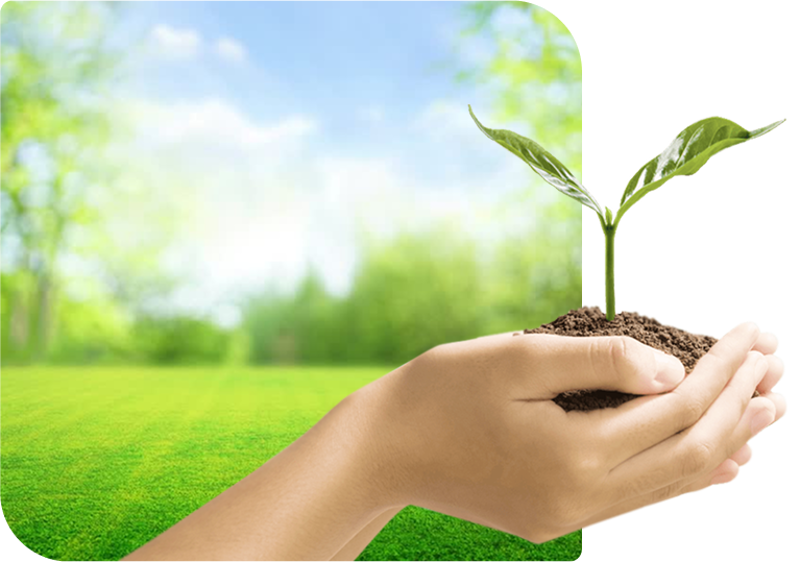 Dự án nuôi dưỡng các nhà lãnh đạo xanh tương lai