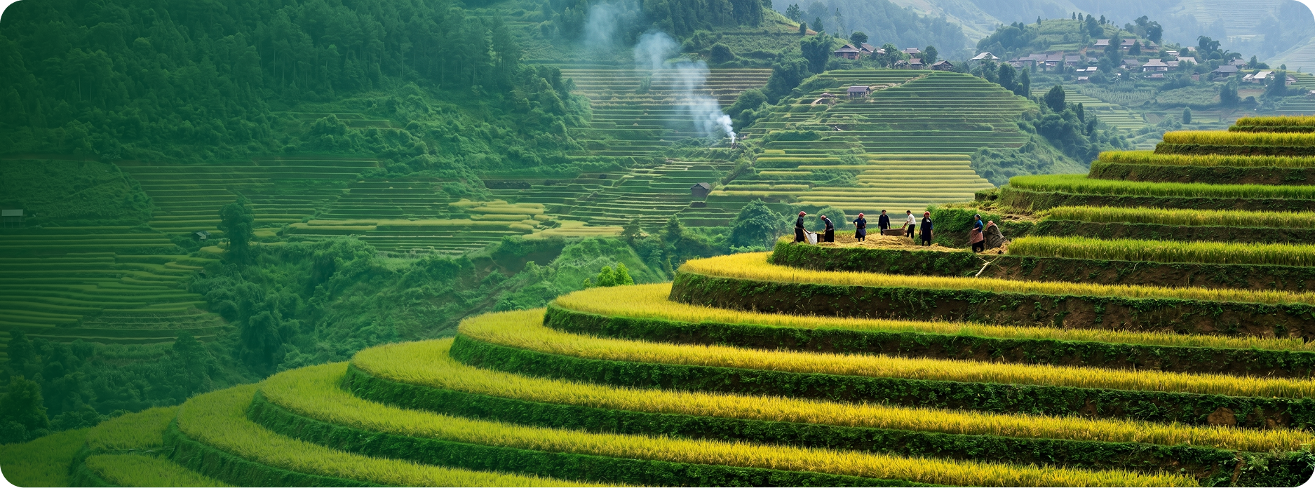 Viện Quy hoạch và Thiết kế Nông nghiệp