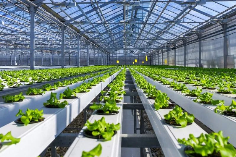 Tiên phong trong nghiên cứu điều tra, đánh giá đất đai