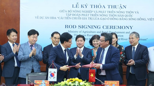 Hàn Quốc hỗ trợ Việt Nam cải thiện chuỗi giá trị lúa gạo ở đồng bằng sông Hồng